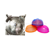 Plastic Round Dish Cover Injection Mould